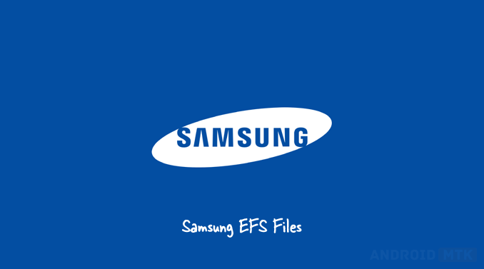 Samsung EFS File